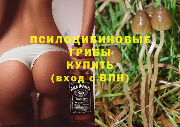 героин Алексин