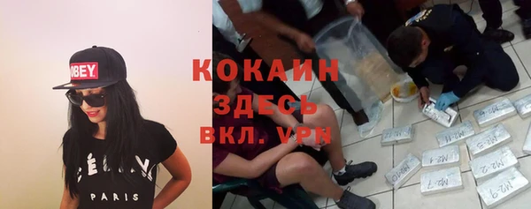 дживик Алзамай