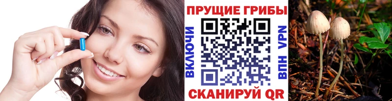 Псилоцибиновые грибы MAGIC MUSHROOMS  Узловая 